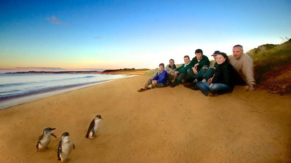 카우즈 The Grampian Phillip Island 빌라 외부 사진