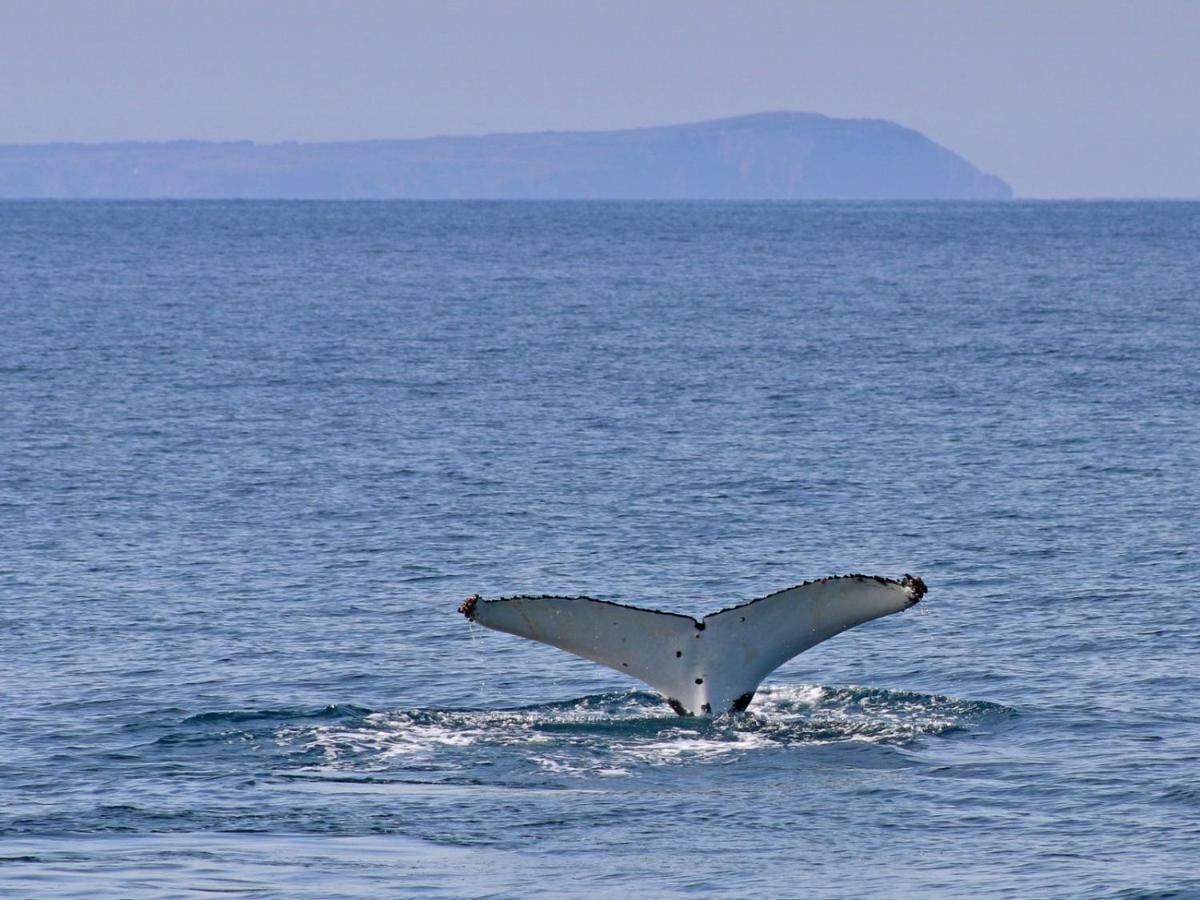 카우즈 The Grampian Phillip Island 빌라 외부 사진