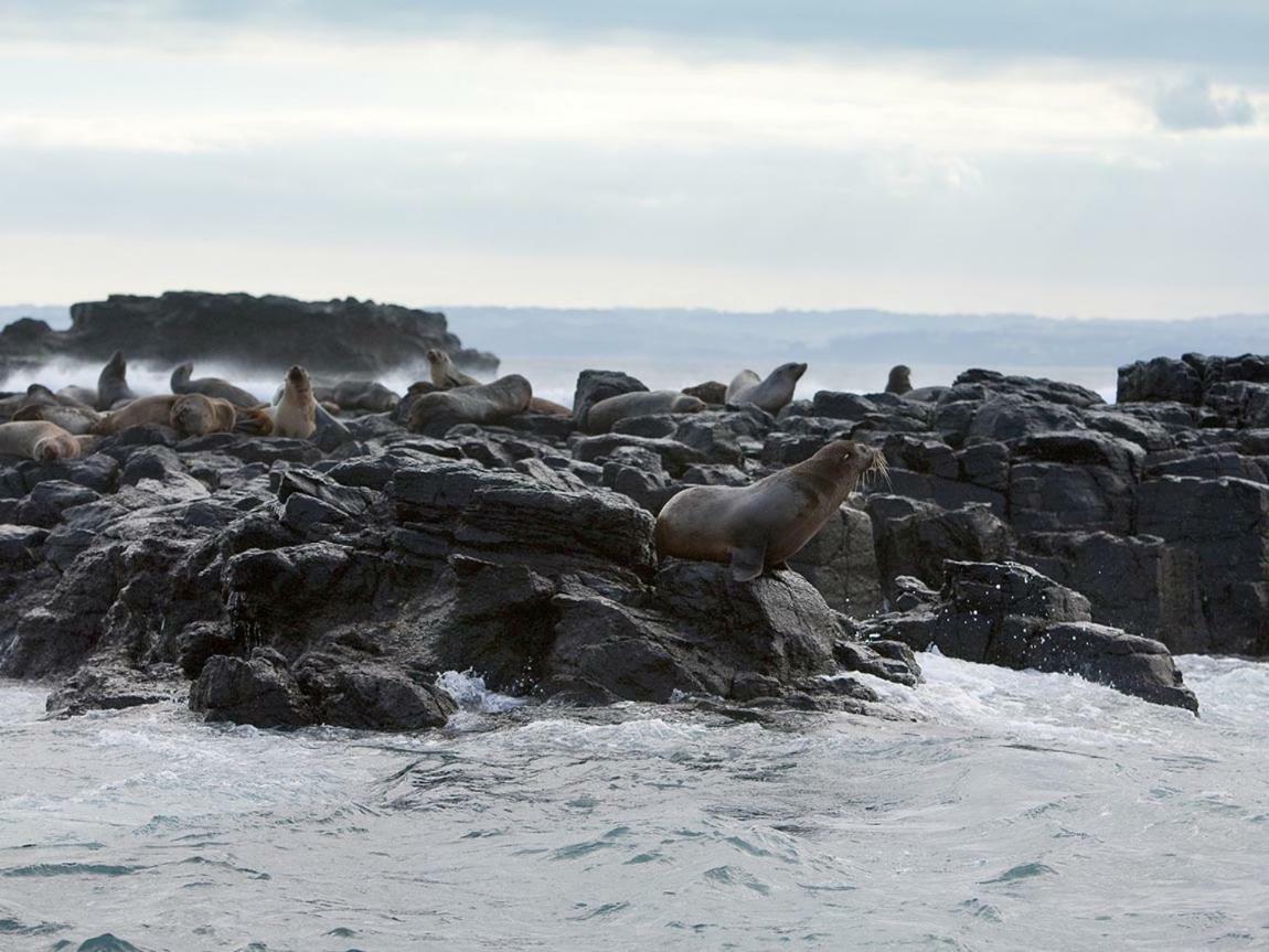 카우즈 The Grampian Phillip Island 빌라 외부 사진